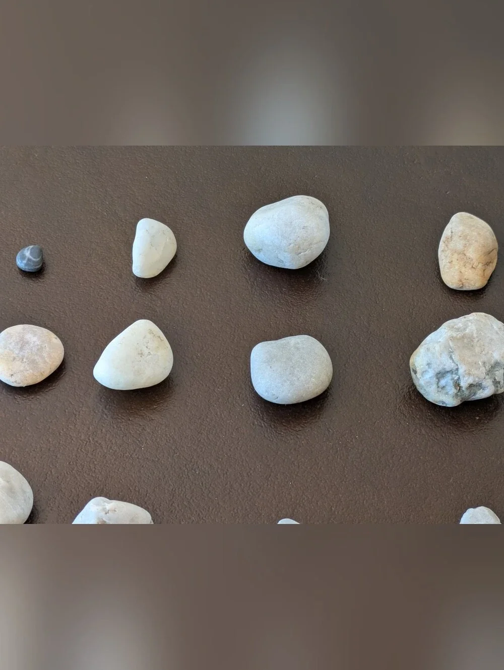 Lot #3 Neutral Colored Beach Stones/Pebbles  Home Decor